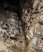 1764483437501.png 1764483437501.png