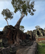 1764484018442.png 1764484018442.png