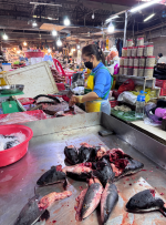 1764493241512.png 1764493241512.png