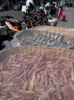 1764493306242.png 1764493306242.png