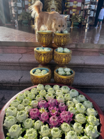 1764493592206.png 1764493592206.png