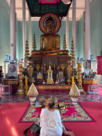 1764493607212.png 1764493607212.png