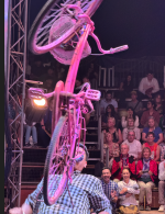 1764494050286.png 1764494050286.png