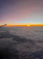 1764495982780.png 1764495982780.png