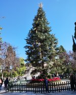 IMG_20251129_130057929 (1).jpg