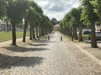 1765009387812.jpeg 1765009387812.jpeg