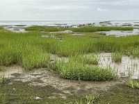 1765009584425.jpeg 1765009584425.jpeg