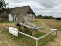 1765009631148.jpeg 1765009631148.jpeg