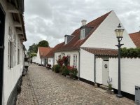 1765010324239.jpeg 1765010324239.jpeg