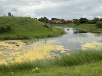 1765010479274.jpeg 1765010479274.jpeg