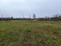 20251120_124735a.jpg 20251120_124735a.jpg