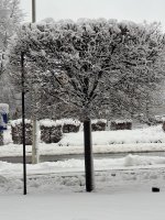 20251123_093924.jpg 20251123_093924.jpg