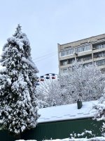 IMG_2051.jpeg IMG_2051.jpeg