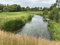 1765094570034.jpeg 1765094570034.jpeg