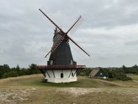 1765095114439.jpeg 1765095114439.jpeg