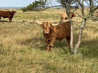 1765095153924.jpeg 1765095153924.jpeg