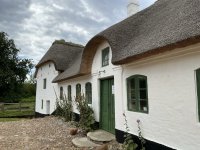 1765179254417.jpeg 1765179254417.jpeg