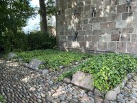 1765179696323.jpeg 1765179696323.jpeg