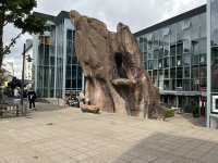 1765276990693.jpeg 1765276990693.jpeg