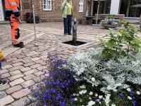 1765277300559.jpeg 1765277300559.jpeg