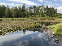 1765315136851.jpeg 1765315136851.jpeg