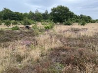 1765396612732.jpeg 1765396612732.jpeg