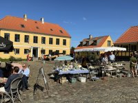 1765396931239.jpeg 1765396931239.jpeg