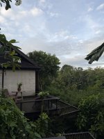 IMG_2148.jpeg