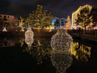 WhatsApp Image 2025-12-24 at 10.10.49 AM (3).jpeg