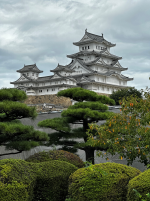 1767362411008.png 1767362411008.png