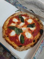 IMG_20260102_195646.jpg IMG_20260102_195646.jpg