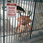 troll.jpeg troll.jpeg