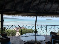 IMG_9242.jpg