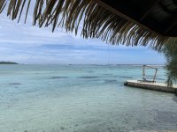 IMG_9243.jpg