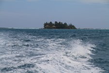 IMG_0179.jpg