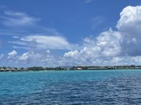 IMG_0276.jpg
