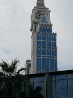 IMG_20250226_102221.jpg