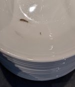 PXL_20260206_073807775~2.jpg PXL_20260206_073807775~2.jpg