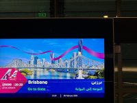 IMG_6436.jpeg IMG_6436.jpeg