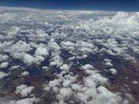 IMG_4441.jpeg IMG_4441.jpeg