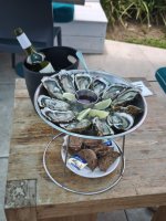 IMG_20260210_123315.jpg
