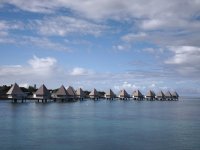 1000208785.jpg 1000208785.jpg