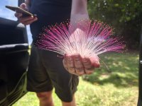 IMG_20260214_103259.jpg IMG_20260214_103259.jpg