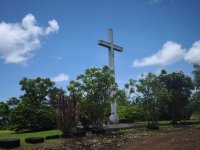 IMG_20260214_112535.jpg IMG_20260214_112535.jpg