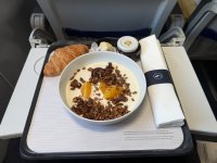 IMG_3494.jpeg IMG_3494.jpeg