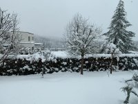 IMG_9407.jpeg