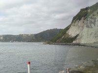 IMG_20260223_094500.jpg