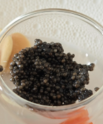 1772027252526.png 1772027252526.png