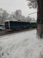 IMG_20260311_110233.jpg