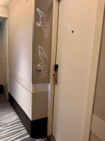 IMG_6095.jpeg